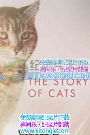 èƶĹ¡The Story of Cats-¼Ƭ