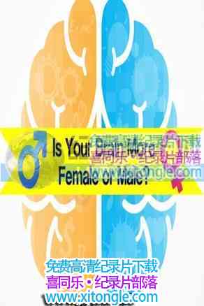 ¼ƬĴŮ Is Your Brain More Female or Male?-