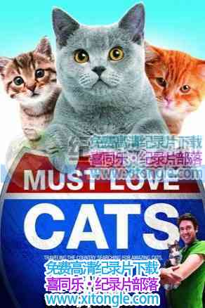 Ϊèտ 桷Must Love Cats-¼Ƭ