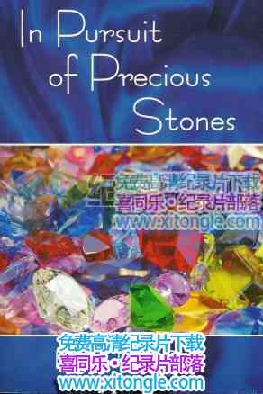 ¼ƬѰ֮· In Pursuit Of Precious Stones-