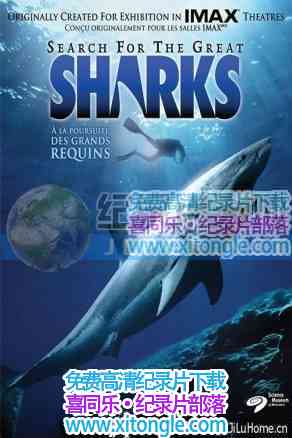 ̽Search For The Great Sharks-¼Ƭ