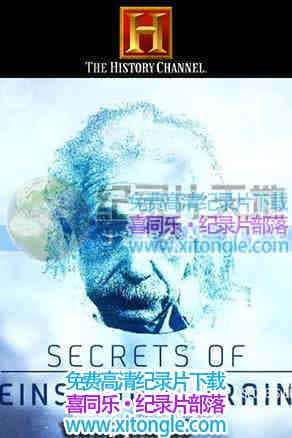 ˹̹ͷԵܡSecrets of Einstein's Brain-¼Ƭ