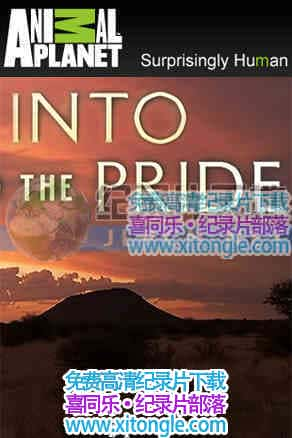 {ȺInto the pride-¼Ƭ