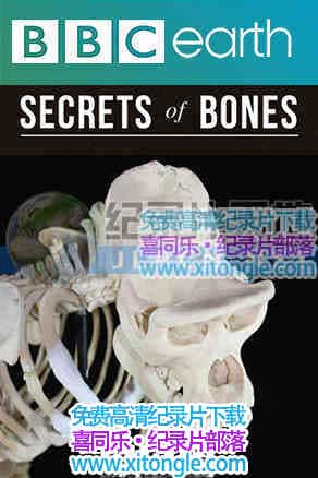 ¼Ƭ֮ Secrets of bones-