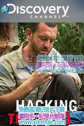 ¼Ƭǻ Hacking the Wild-