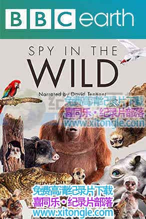 ҰSpy in the Wild - 