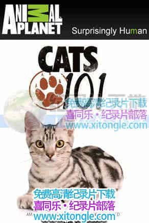 è101Cats101-¼Ƭ