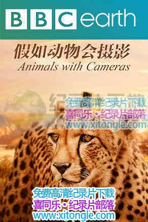 綯ӰAnimals with cameras - 