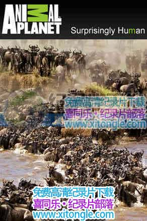 ޶Ǩ㡷The Great Migration-¼Ƭ