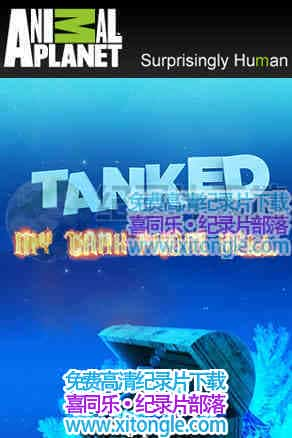 ٱˮ䡷Tanked: My tank from hell-¼Ƭ