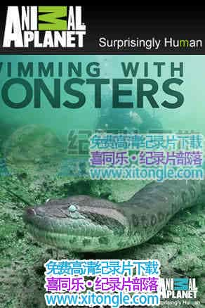 ˮSwimming With Monster: Steve Backshall-¼Ƭ