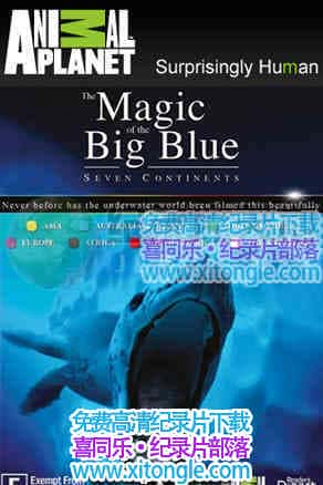 εThe Magic of the Big Blue-¼Ƭ