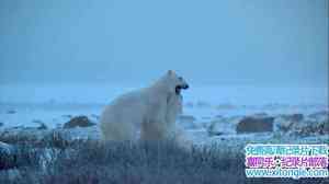 IMAX¼Ƭ˹ӣҰľ Alaska: Spirit of the WildӢ-