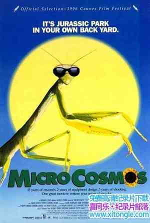 Ȼ̬¼Ƭ΢ Microcosmosȫ1¼Ƭٶ