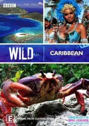 BBC¼ƬҰԼձ Wild Caribbeanȫ4-