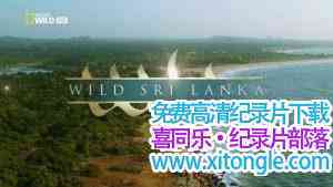 ҵƵҰ˹ Wild Sri Lankaȫ-