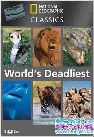 ҵϵ Worlds Deadliest Animals-