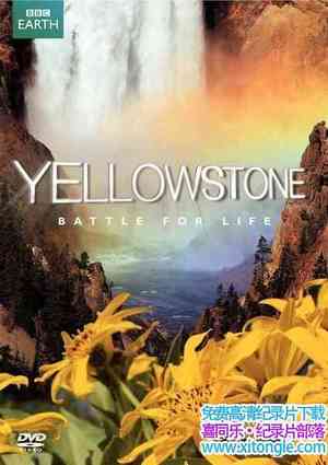 BBC¼Ƭʯ԰ Yellowstoneȫ3-