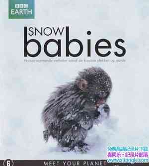 BBC¼Ƭѩر Snow Babies-