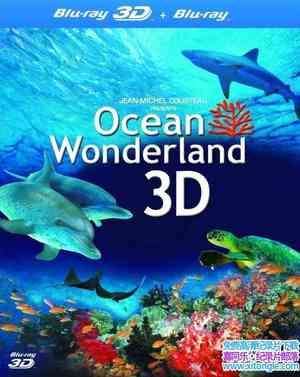 ¼Ƭĺ Amazing Ocean 3DӢ˫-