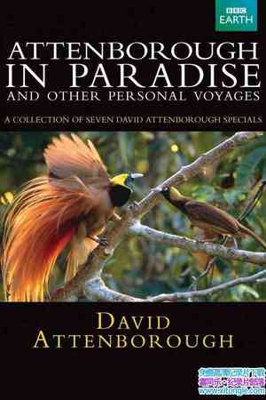 BBC¼Ƭ Attenborough in ParadiseӢ BD ...