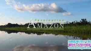 ѷ¼Ƭѷ Faszination AmazonasӢ-