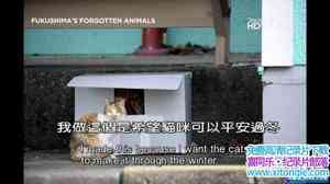 ̽ƵUĶ Fukushimas Forgotten AnimalsӢﷱ-