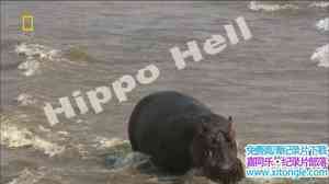 ҵ Hippo HellӢ-