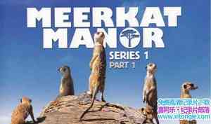 ̽ƵɸһҵĹ Meerkat Manor The Story Beginsȫ-