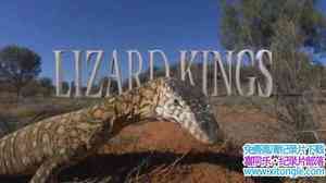 ҵ֮ Lizard KingsӢ-