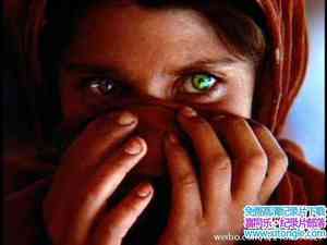 ҵѰҰŮ Search For The Afghan GirlӢ˫-