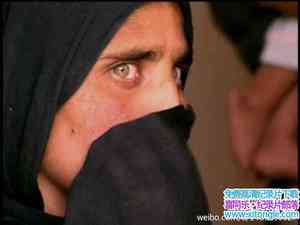 ҵѰҰŮ Search For The Afghan GirlӢ˫-