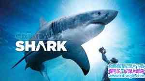 IMAX¼Ƭ̽ Search For The Great Sharksȫ1-