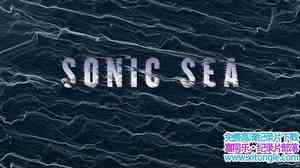 ҵ Sonic Sea2016Ӣ-