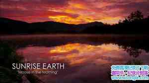 ̽Ƶ ճϵ :¹ Sunrise Earth:Moose in the Morning ȫ-