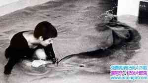 BBC¼Ƭ뺣ཻŮ The Girl Who Talked to Dolphinsȫ1-