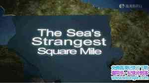 ̨ The Seas Strangest Square Mile-