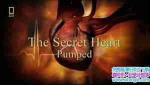 ҵಡThe Secret Heartȫ3-