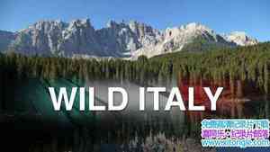 ¼ƬҰ Wild Italyȫ2-