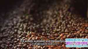 ¼ƬһڿȵĵӰ A Film about CoffeeӢ-