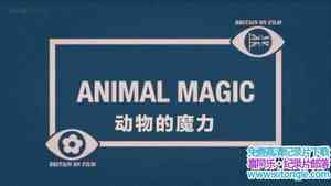 BBC¼ƬӰӢ ħBritain on Film Animal MagicӢ-