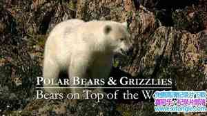 BBC¼Ƭܺͻ ֮ Bears on Top of the WorldӢ˫-