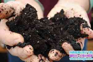 BBC¼Ƭѧ Deep Down and Dirty The Science of SoilӢ-