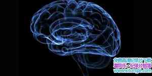 BBC¼ƬƽϵУʵ Horizon: How Does Your Memory Work?Ӣ-