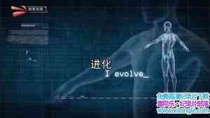 ̽֡ I EvolveӢ-