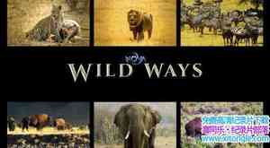 PBS¼Ƭ Ұͨ NOVA Wild WaysӢ-