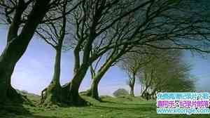 BBC¼ƬȻ ʥ Natural World Earth Pilgrim A Year on DartmoorӢ˫-