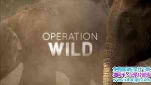 PBS¼ƬҰ Operation Wildȫ3-