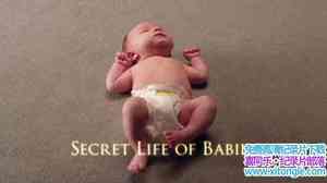 ITV¼ƬӤ Secret Life of BabiesӢ-