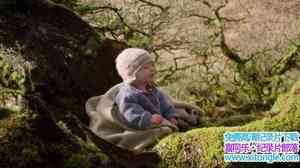 ITV¼ƬӤ Secret Life of BabiesӢ-